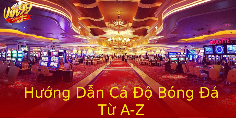 Hướng Dẫn Cá Độ Bóng Đá Từ A-Z Hướng Dẫn Cá Độ Bóng Đá Từ A-Z