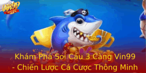 Kham Pha Soi Cau 3 Cang Vin99 Chien Luoc Ca Cuoc Thong Minh