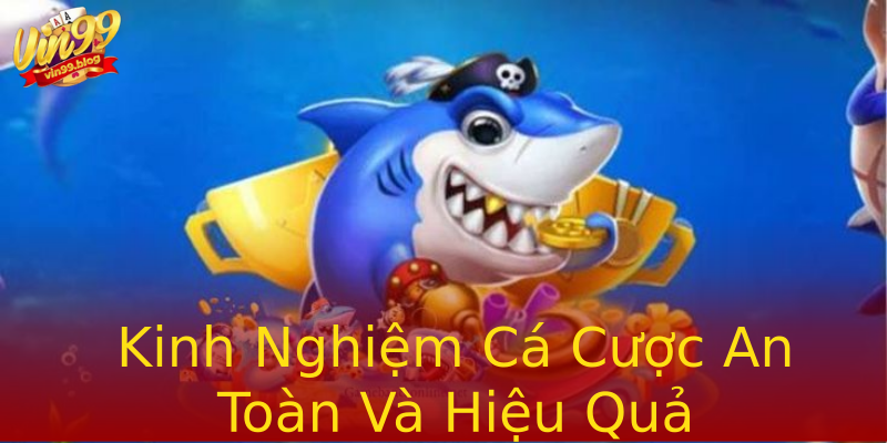 Kinh Nghiệm Cá Cược An Toàn Và Hiệu Quả Kinh Nghiệm Cá Cược An Toàn Và Hiệu Quả